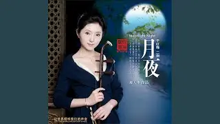 独弦操 (风华国韵系列)