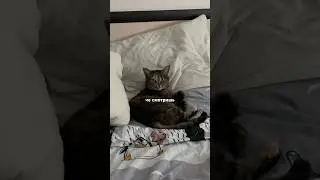 Такая строгая в конце🥲 