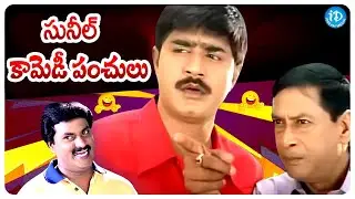 Sunil Best Comedy Scenes Back to Back | Best Comedy Scenes | iDream Andhra