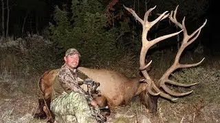 Giant Trophy Bull Elk Hunt Video | White Peaks