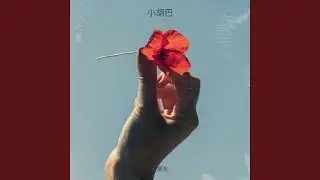 My fly dream