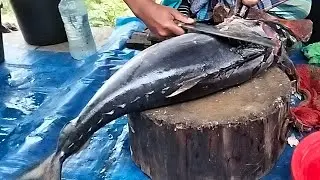 🔴 Live Fish Cutting ASMR | Fresh Seafood Processing from Market