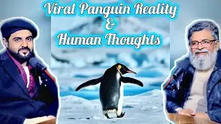 Viral Panguin Story and Reality Behind Thoughts 💭 🐧