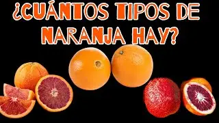 Lo que no sabías de las naranjas