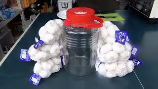 大量のニンニクを醤油漬けにしてみた