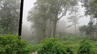 Hills station kiriburu 