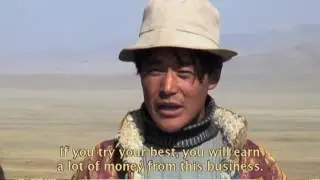 The China Project. Qinghai Province