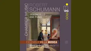 Fantasie-St&uuml;cke, Op. 73: III. Rasch und mit Feuer