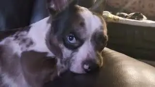 Relaxing and watching TV together 