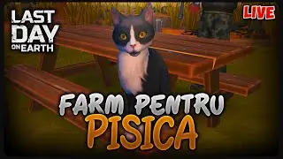 Tragem tare pentru PISICA pe Last Day on Earth [LIVE #762]