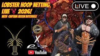 Live Wide Open Lobster Live W/ Justin