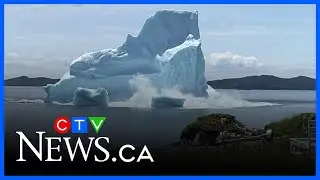 Incredible video shows iceberg calving in Newfoundland