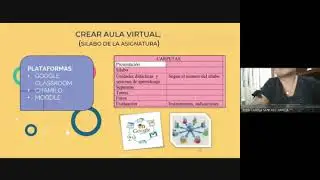 Rol del Docente Tutor