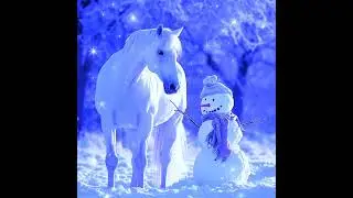True friends in a snowy winter.🌨️☃️🐎☃️🌨️