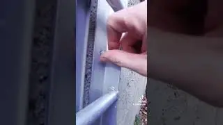 Security Screw I Think Not