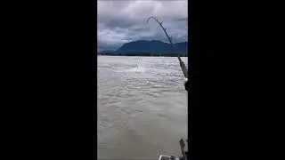 7'7 sturgeon jump for Christina!