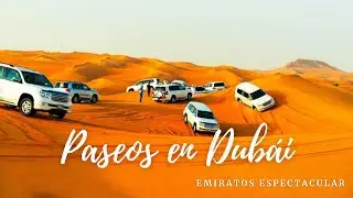 Un safari 4x4 perfecto por el desierto de Dub&aacute;i, emoci&oacute;n, diversi&oacute;n y shows.