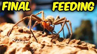 Will this be my LAST FEEDING VIDEO? - Feeding All Part 1