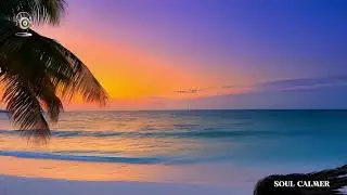 Midnight Calm: Music to Ease Your Mind
