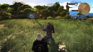 Human Duels Ciri vs Avallac'h (Who will win ?) #witcher #cdproject
