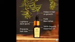 Organic Rosemary Essential Oil has everything you have been looking for | Grab Now @organicharvest7363