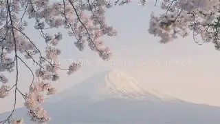 Destination Weddings and Elopements in Japan