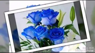 FAROOQ AZAM786