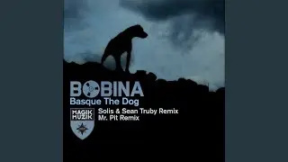 Basque the Dog (Solis & Sean Truby Remix)