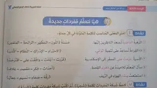 حل أنشطة سلاح التلميذ على درس (رسالة الشجرة العجوز) للصف الرابع الابتدائي الفصل الدراسي الأول 2026