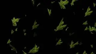 Fresh Green Leaves Falling on Black Background, Loop Animation