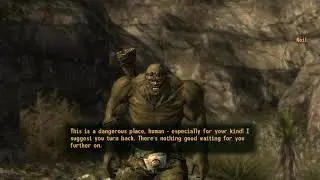 Fallout: New Vegas - Crazy, Crazy, Crazy