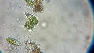 20191105 125955