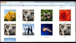 php Photo Gallery Script  - www.phpuncle.com