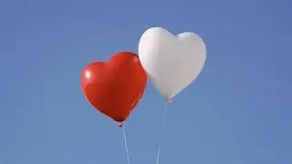 Optimal Heart Health | The Importance of a Healthy Heart