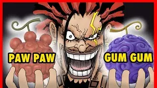 THESE Are the Fruits Rocks Wanted EXPLAINED! (One Piece 1156)