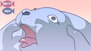 If Seals looked like they sound