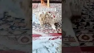 Usei enchada pra tirar sab&atilde;o que n&atilde;o saia quando lavava