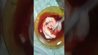 Ketchup & Mayonnaise mixing #trending  #viral  #shorts  #satisfying l Rochelle Sison