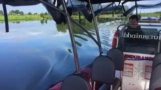 Boat Cruise