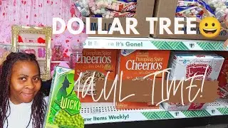 NEW FINDS| MORE PENNY ITEMS 😀| DOLLAR TREE HAUL!!!  #dollartreefinds 