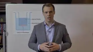 Am&eacute;o Cell Health Blends