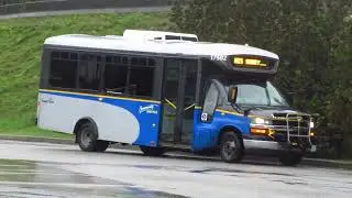 Buses at Phibbs Exchange