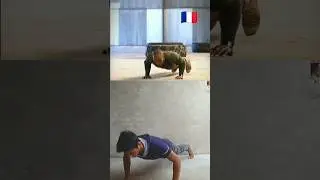 Challenge accept 🇮🇳 #armypushup #armychallenge #fitness #short