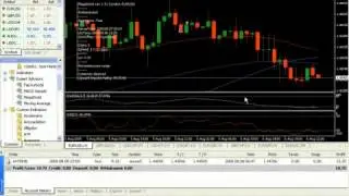 Megadroid Review Best Forex Robot Results for First Week.webm