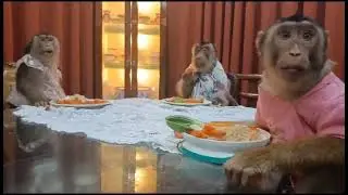 Vegetable And Noodle for Jk Family Dinner
