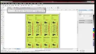 Raffle Ticket Numbering | How to number raffle tickets with Number Pro and Corel Draw
