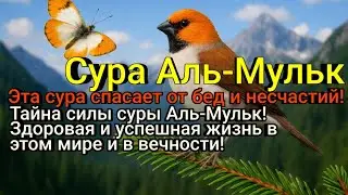 Здоровье и благополучие придут к тем, кто слушает эту суру Аль-Мульк