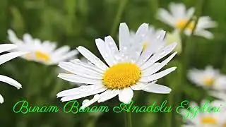 SENSiZLiK - Hasretinle Öldürürsün Sen Beni ( Elfida Yeni Versiyon ) Melankolik Şarkı... Slow Elfida