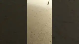 kadalanu kano horatiro karago karago mugile 💧☁️