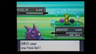 (Live) Shiny Roselia - Pokemon Platinum Version (522 REs; Phase 4)